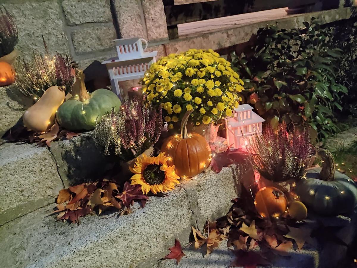 Posada Rural La Flor Las Navas del Marqués Buitenkant foto